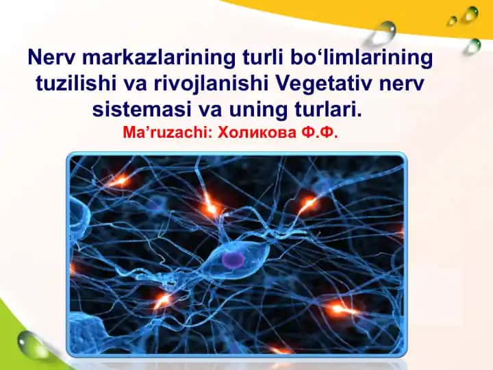 Nerv markazlarining turli bo‘limlarining tuzilishi va rivojlanishi hamda Vegetativ nerv sistemasi va uning turlari