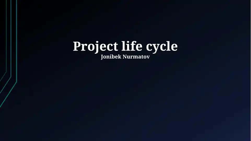 Project Life Cycle