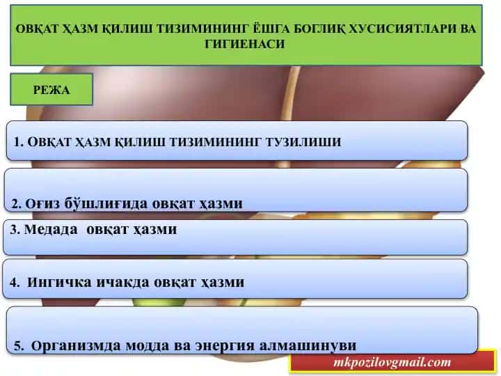 ОВҚАТ ҲАЗМ ҚИЛИШ ТИЗИМИНИНГ ЁШГА БОГЛИҚ ХУСИСИЯТЛАРИ ВА ГИГИЕНАСИ