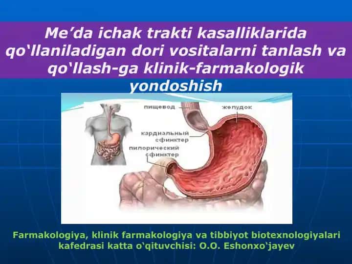 Me’da ichak trakti kasalliklari va shifokorlik