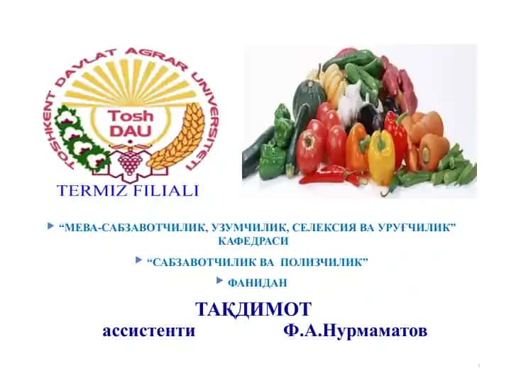 Кўкат, дуккакли ва кам тарқалган сабзавотларни этиштириш хусусиятлари