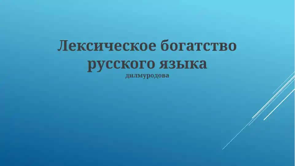 Лексическое богатство русского языка
