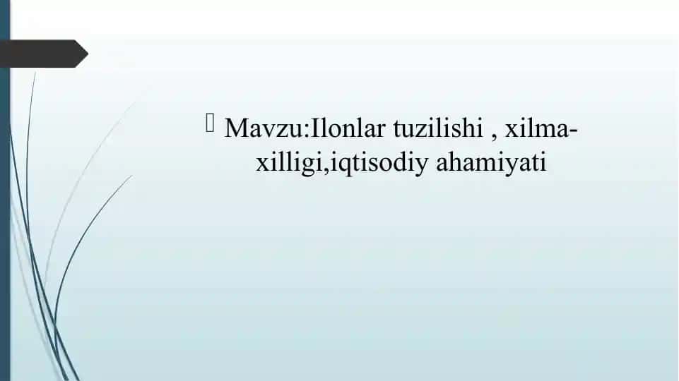 Ilonlar tuzilishi, xilma-xilligi va iqtisodiy ahamiyati