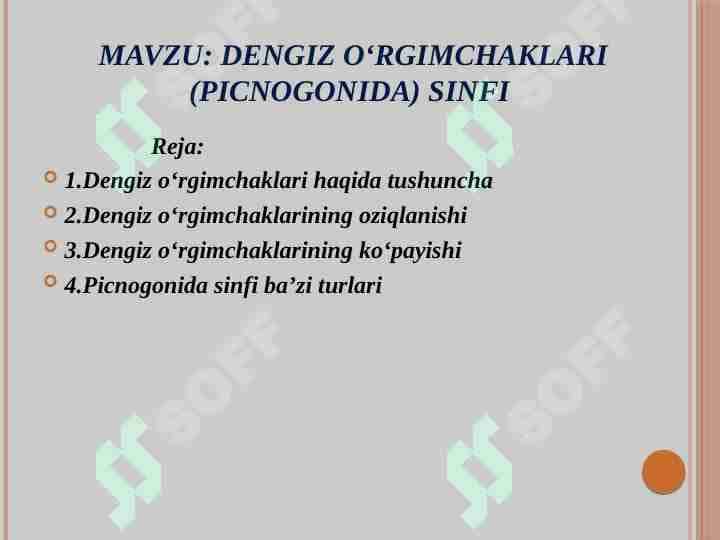 Dengiz oʻrgimchaklari (Picnogonida) sinfi