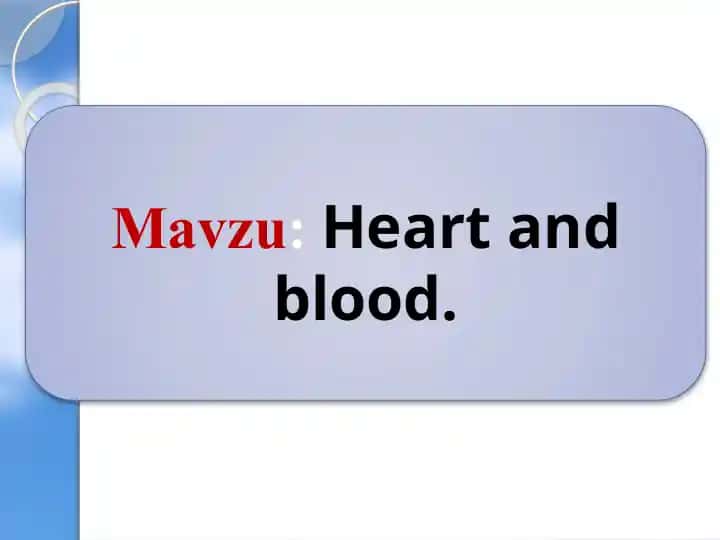 Heart and Blood