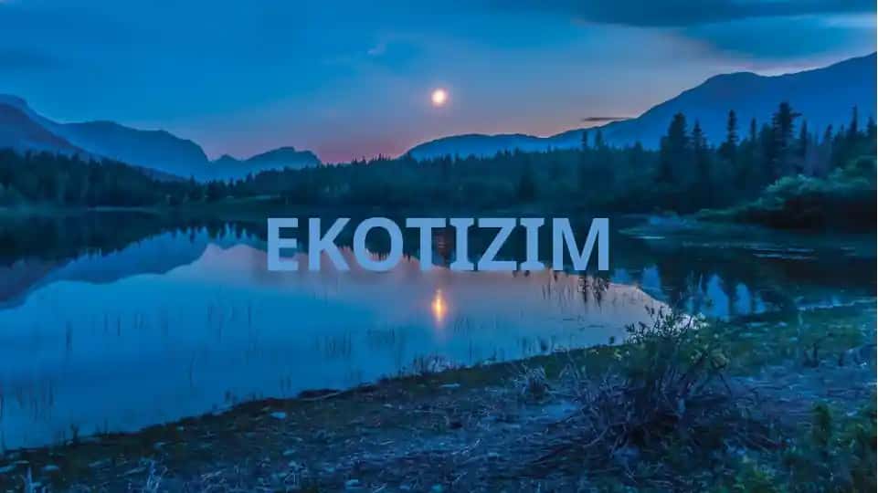 Ekotizim