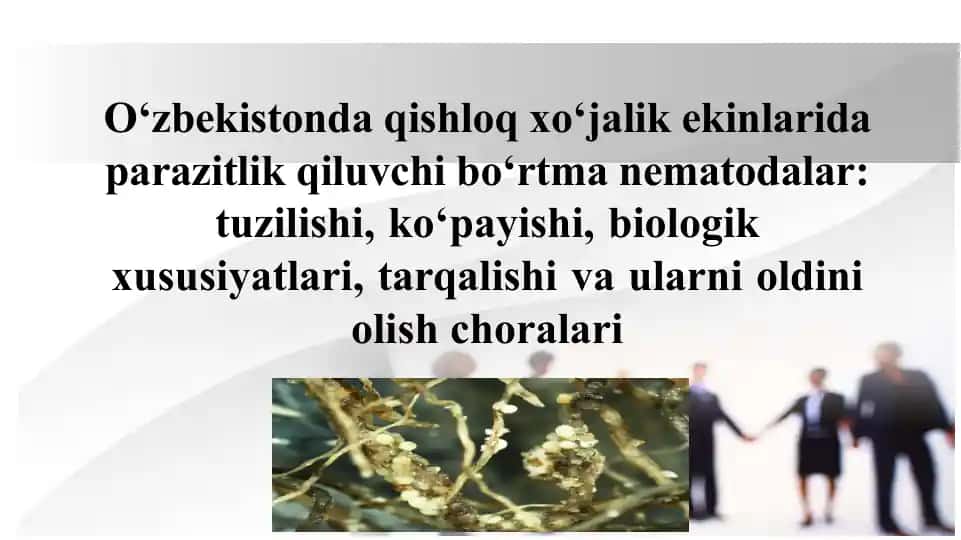 Bo‘rtma nematodalar