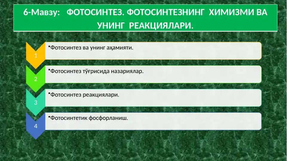 ФОТОСИНТЕЗ