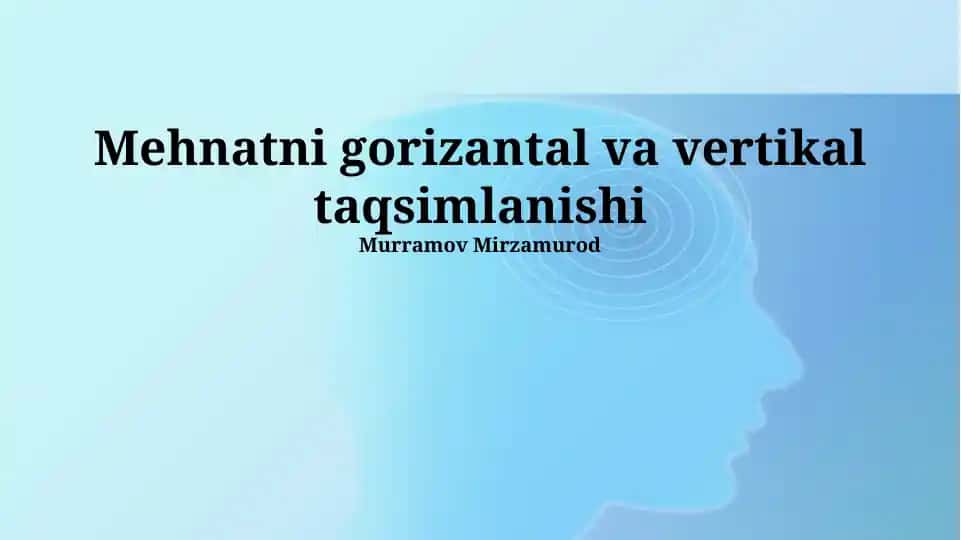 Mehnatni gorizantal va vertikal taqsimlanishi