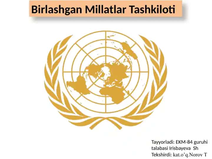 Birlashgan Millatlar Tashkiloti