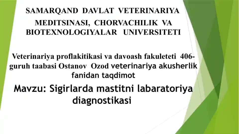 Sigirlardagi mastitni laboratoriya diagnostikasi