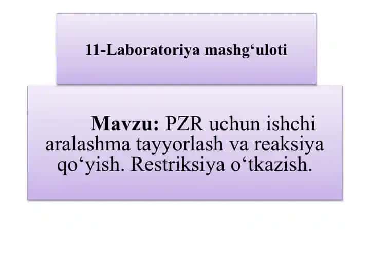 PZR uchun ishchi aralashma tayyorlash va reaksiya qo‘yish