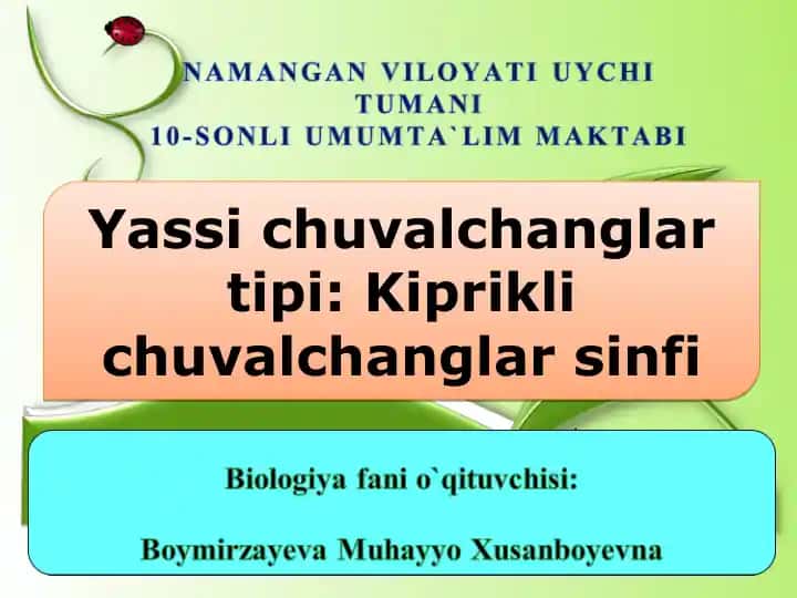Yassi chuvalchanglar tipi: Kiprikli chuvalchanglar sinfi