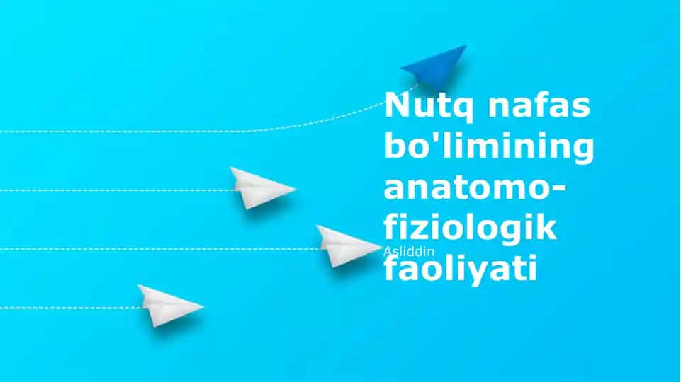 Nutq nafas bo'limining anatomo-fiziologik faoliyati