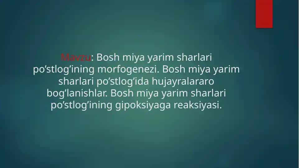 Bosh miya yarim sharlari po’stlog’ining morfogenezi