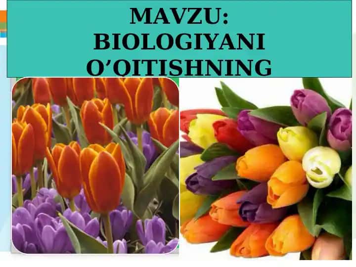 BIOLOGIYANI O’QITISHNING INTERFAOL METODLARI
