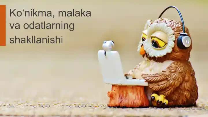 Ko‘nikma, malaka va odatlarning shakllanishi