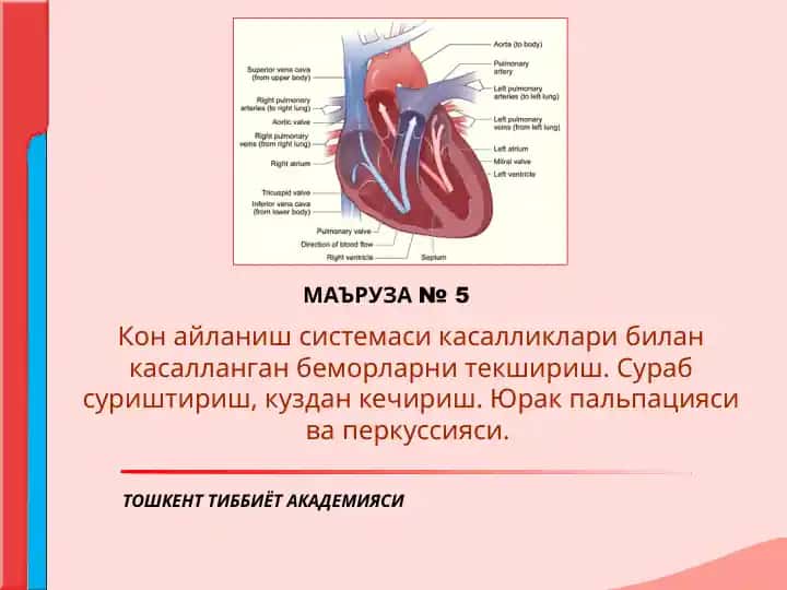 Кон айланиш системаси билан касалланган беморларни текшириш