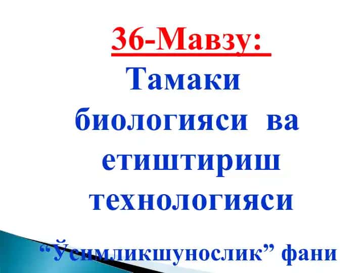 Тамаки