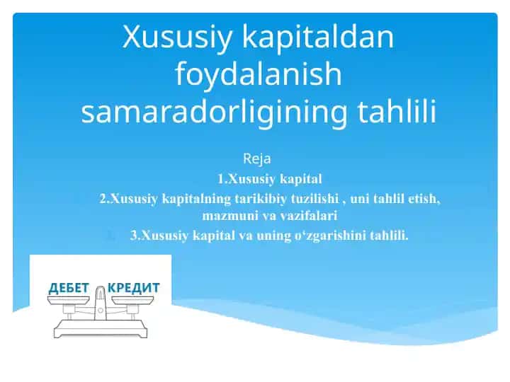 Xususiy kapitaldan foydalanish samaradorligining tahlili
