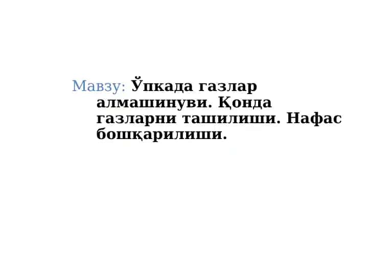 Ўпкада газлар алмашинуви, Нафас бошқарилиши