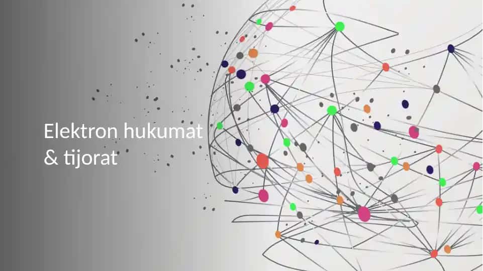 Elektron hukumat