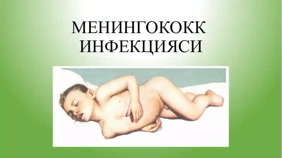 Meningokok infektsiyasi