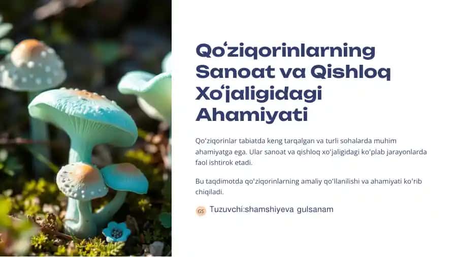 Qo'ziqorinlarning Sanoat va Qishloq Xo'jaligidagi Ahamiyati