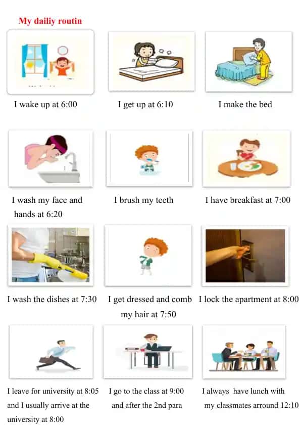 My Daily Routine
