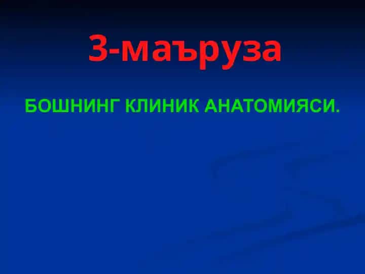 Bo‘shning klinik anatomiysi