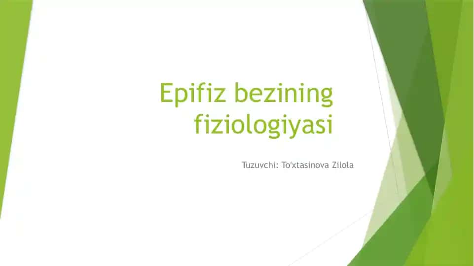 Epifizbezining fiziologiyasi