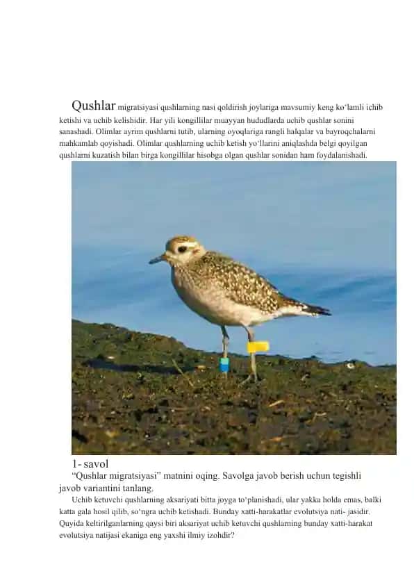 Qushlar migratsiyasi