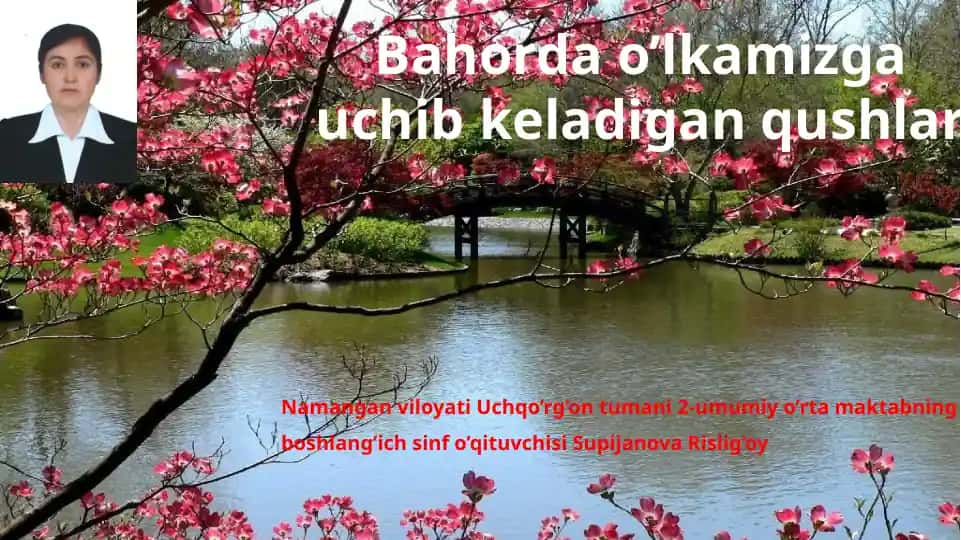 Bahorda o’lkamizga uchib keladigan qushlar