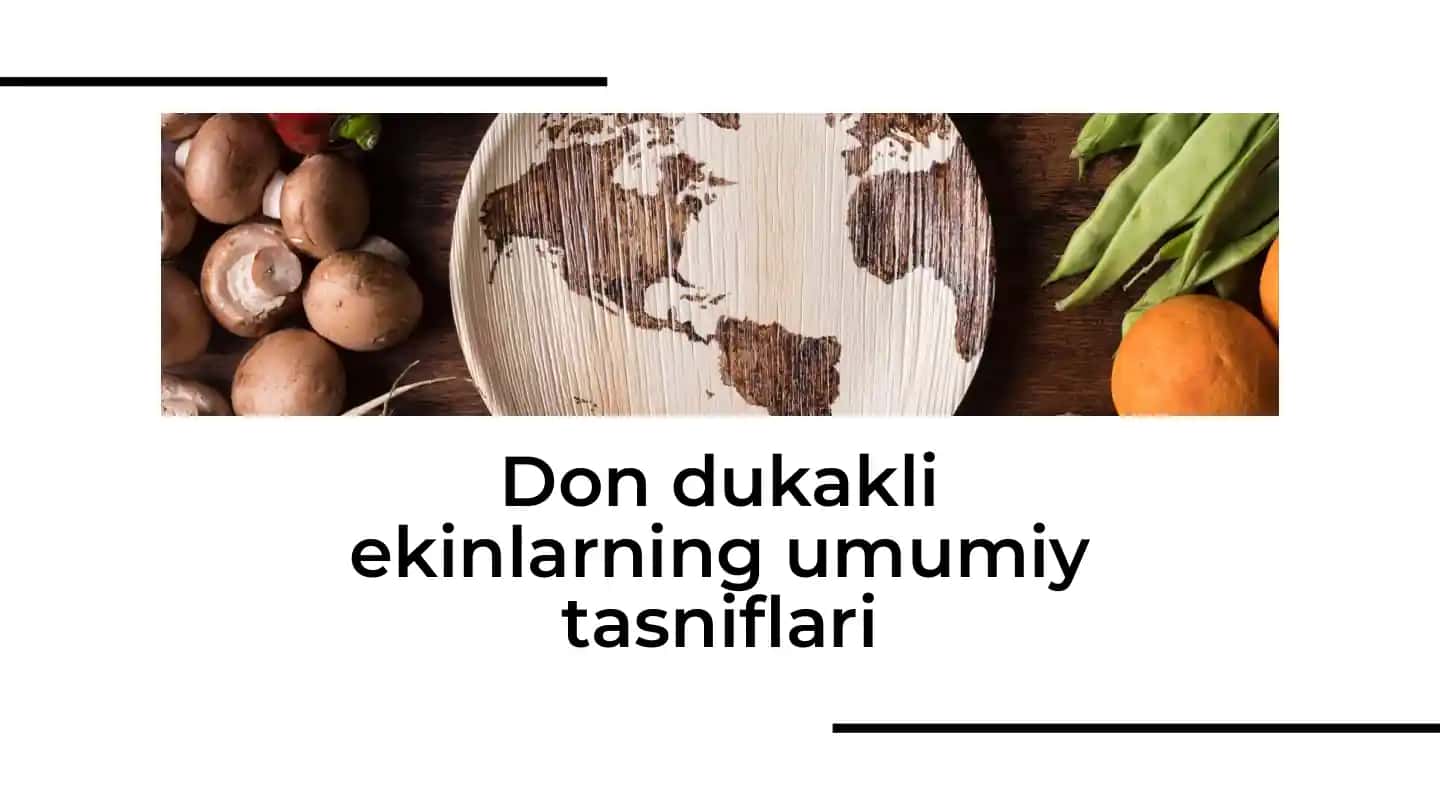 Don dukakli ekinlarning umumiy tasniflari