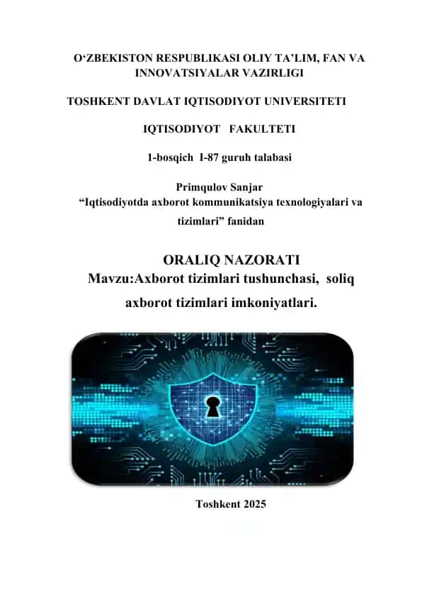 Axborot tizimlari tushunchasi, soliq axborot tizimlari imkoniyatlari.
