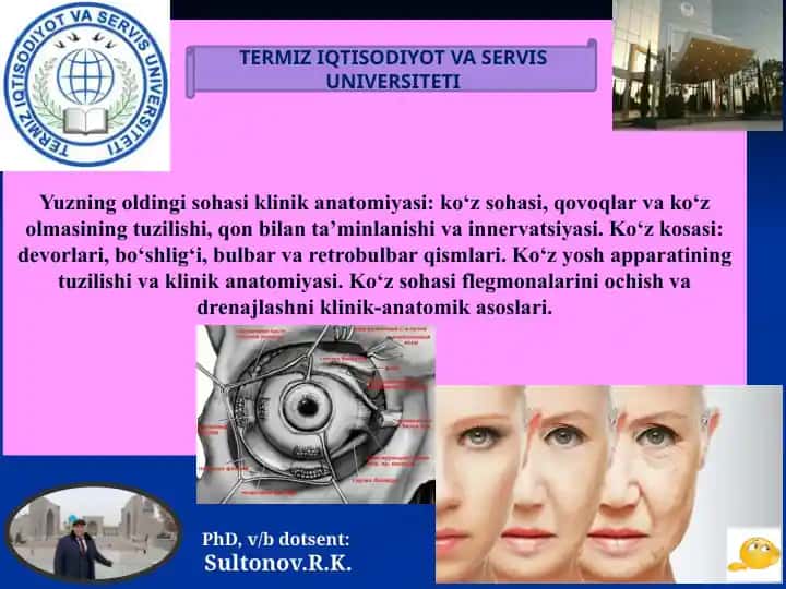 Klinik anatomiyada ko‘z sohasi tuzilishi