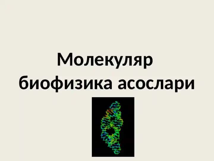 Молекуляр биофизика асослари