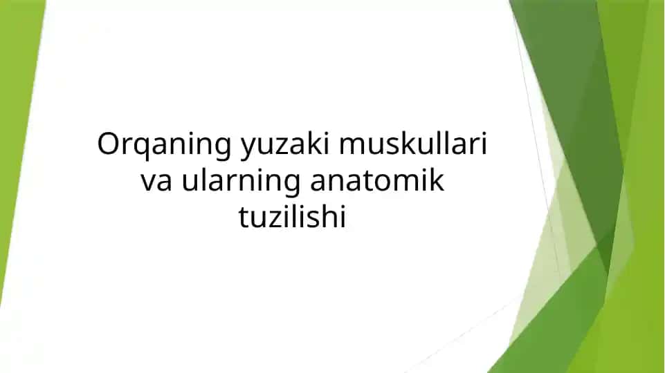 Orqaning yuzaki muskullari va ularning anatomik tuzilishi