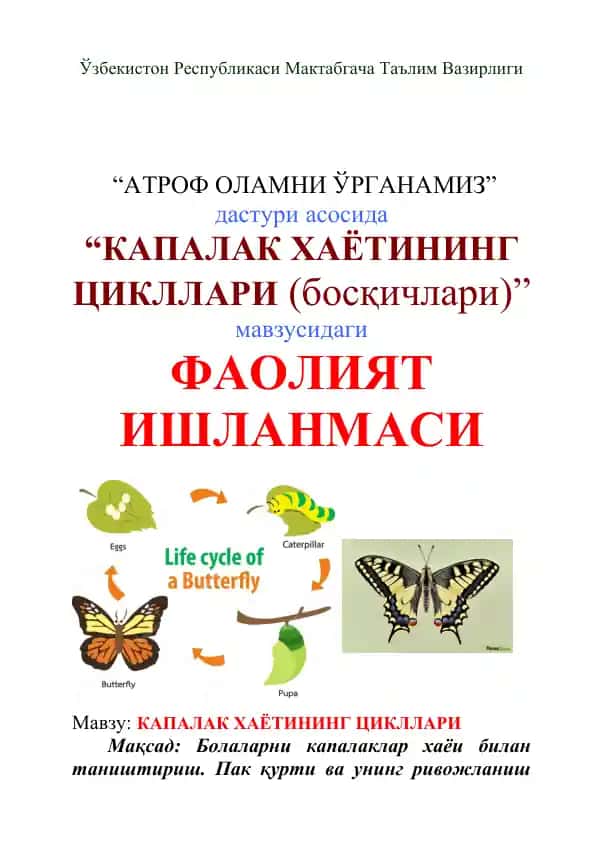 "КАПАЛАК ХАЁТИНИНГ ЦИКЛЛАРИ (босқичлари)"