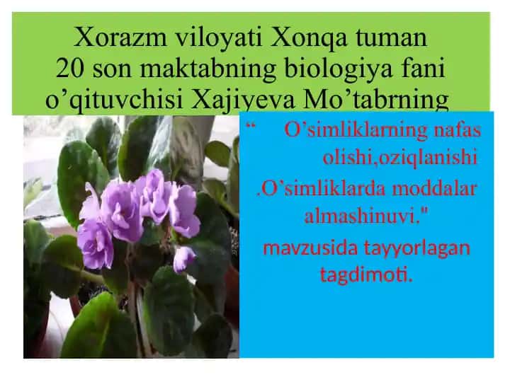 O'simliklarning nafas olishi, oziqlanishi, moddalar almashinuvi