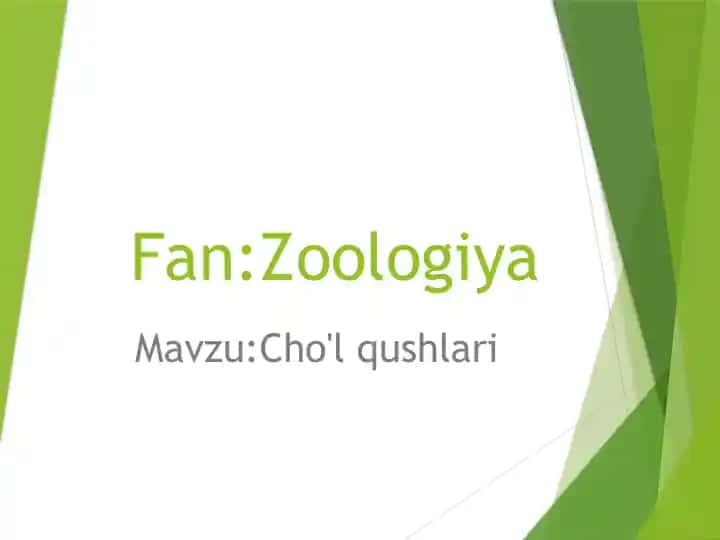 Cho'lqushlari