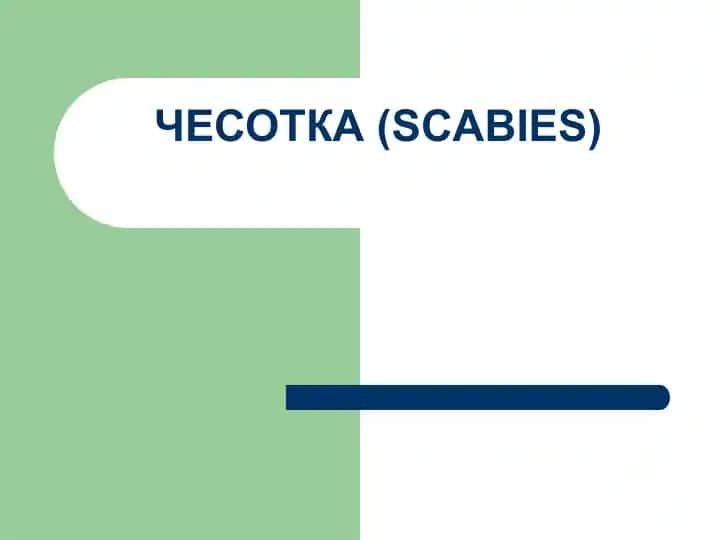 ЧЕСОТКА (SCABIES)