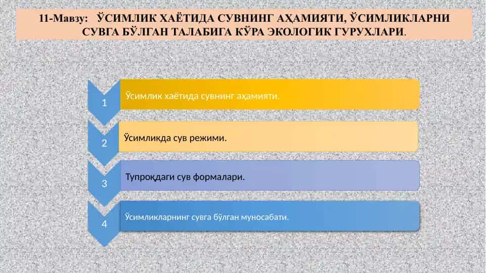 Ўсимлик ҳаётида сувнинг аҳамияти ва сувга бўлган талабга кўра экологик гуруҳлар