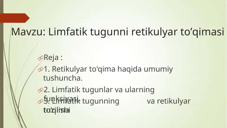 limfatik tugunni retekulyar to'qimasi