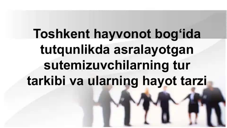 Toshkent hayvonot bog‘i va tutqunlikda asralayotgan sutemizuvchilar haqida