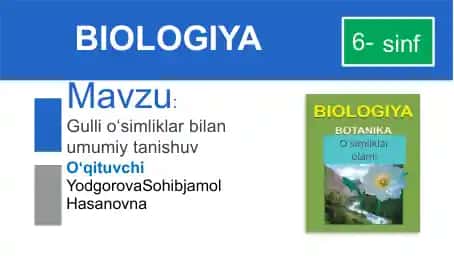 Gulli o‘simliklar bilan umumiy tanishuv