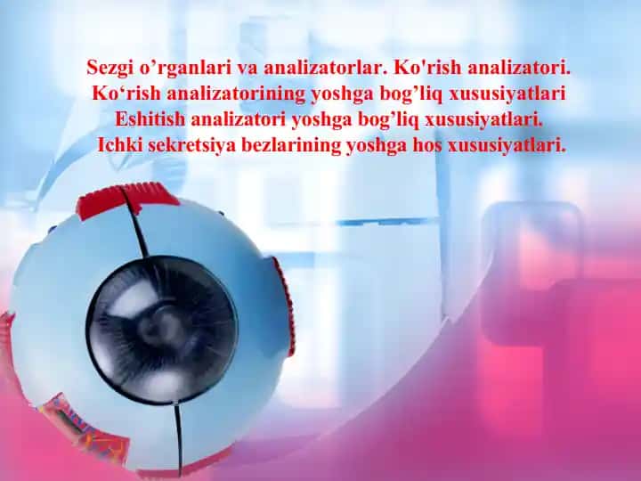 Ko'rish analizatori