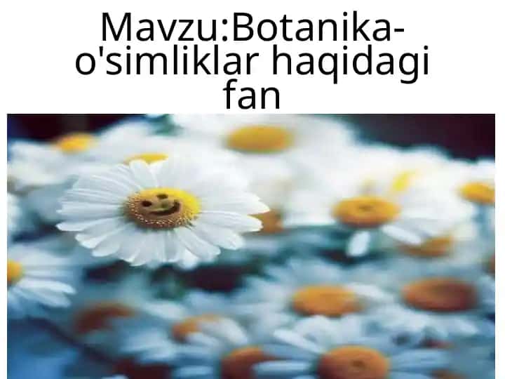 Botanika-o'simliklar haqidagi fan