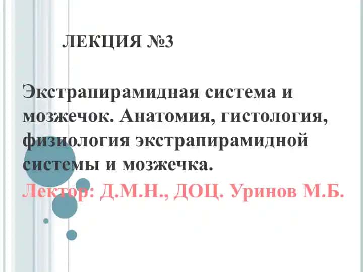 Экстрапирамидная система и мозжечок