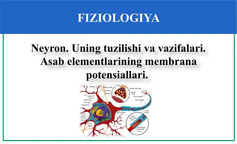 FIZIOLOGIYA